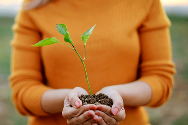 woman holding a mound of dirt with sprout in hand