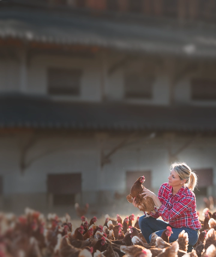 A woman holding a chicken surrounded by chicken