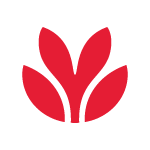 Envision Financial logo
